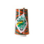 Cotton Quilting Variegated 3000yd F256 SOUTHWEST