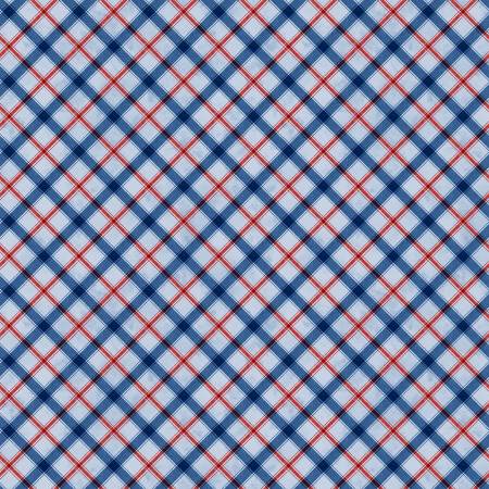 Founding Glory Plaid Blue 49364-443