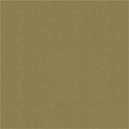 Nature Study 2.0  Yerba Mate Astra 54686-10