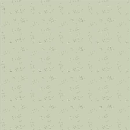 Nature Study 2.0  Mint Astra 54686-12