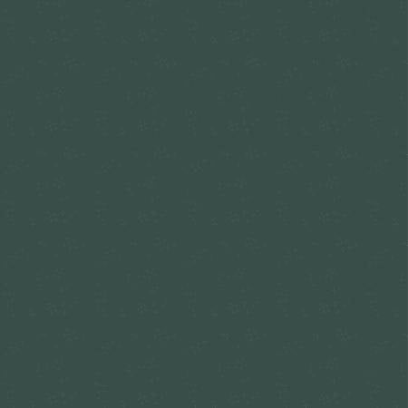 Nature Study 2.0  Blue Agave Astra 54686-4