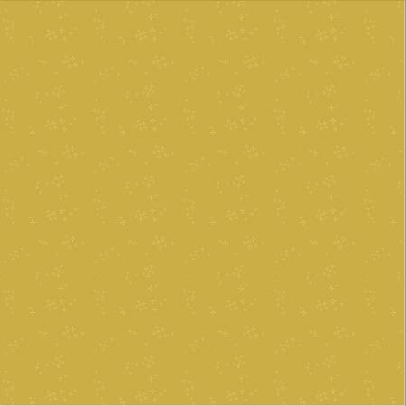 Nature Study 2.0  Turmeric Astra 54686-8