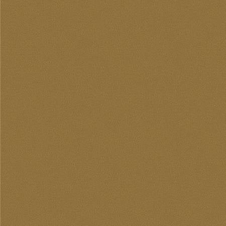 Nature Study 2.0  Kelp Pile 54688-26