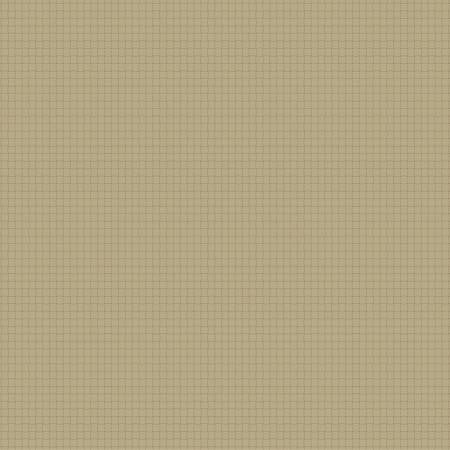 Nature Study 2.0  Bean Rattan 54689-33