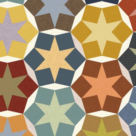 Nature Study 2.0  Multi Stellar Whole Cloth 54690D-X