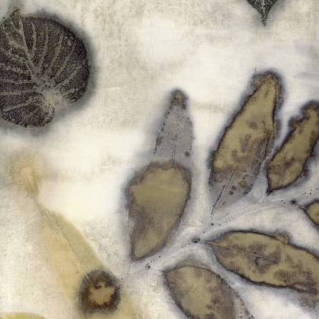 Batiks Express Yourself Botanicals 1 1/2-Yard x 42" Package Pebble Pastiche BT23080-164