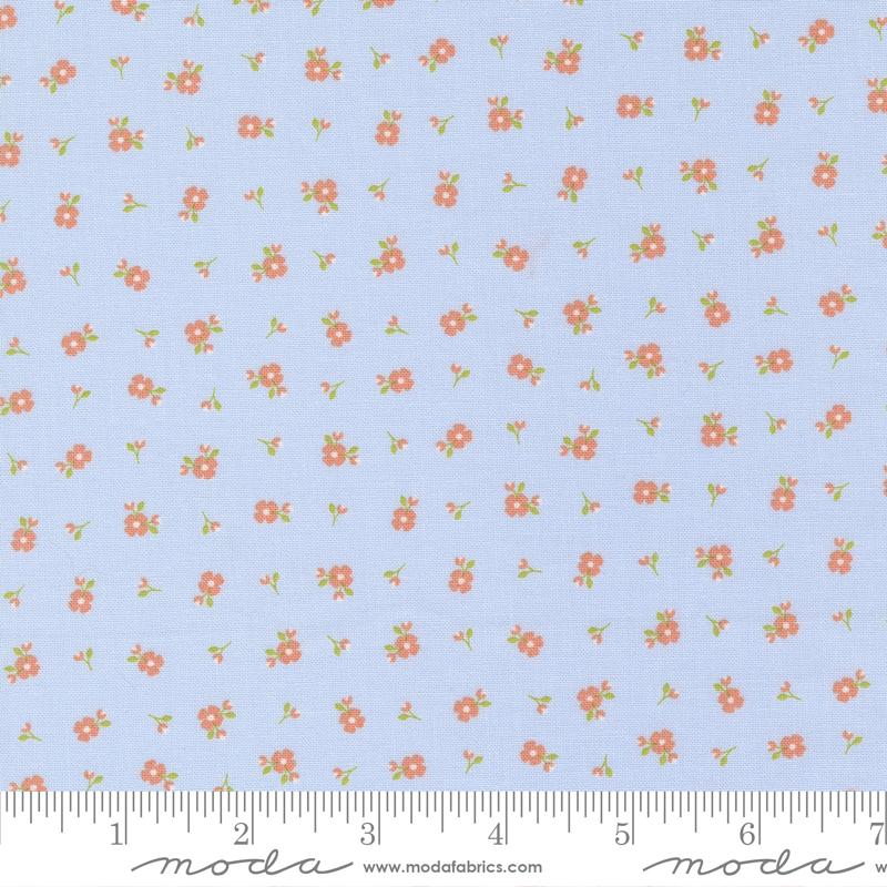 Peachy Keen Light Blue 29175-1429175-14