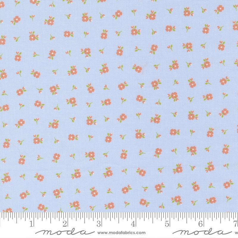 Peachy Keen Light Blue 29175-1429175-14