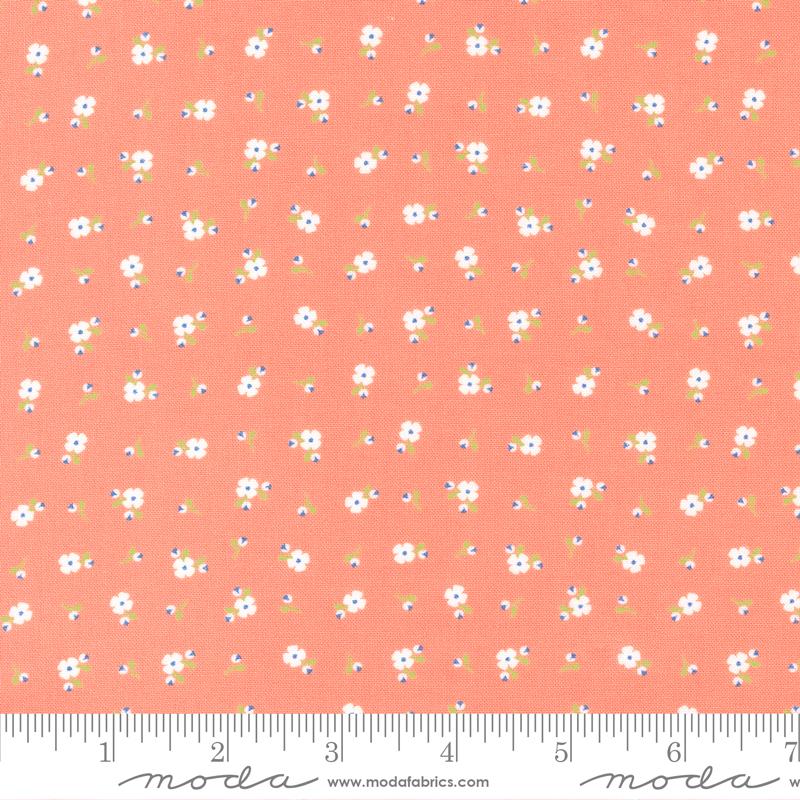 Peachy Keen Coral 29175-1929175-19