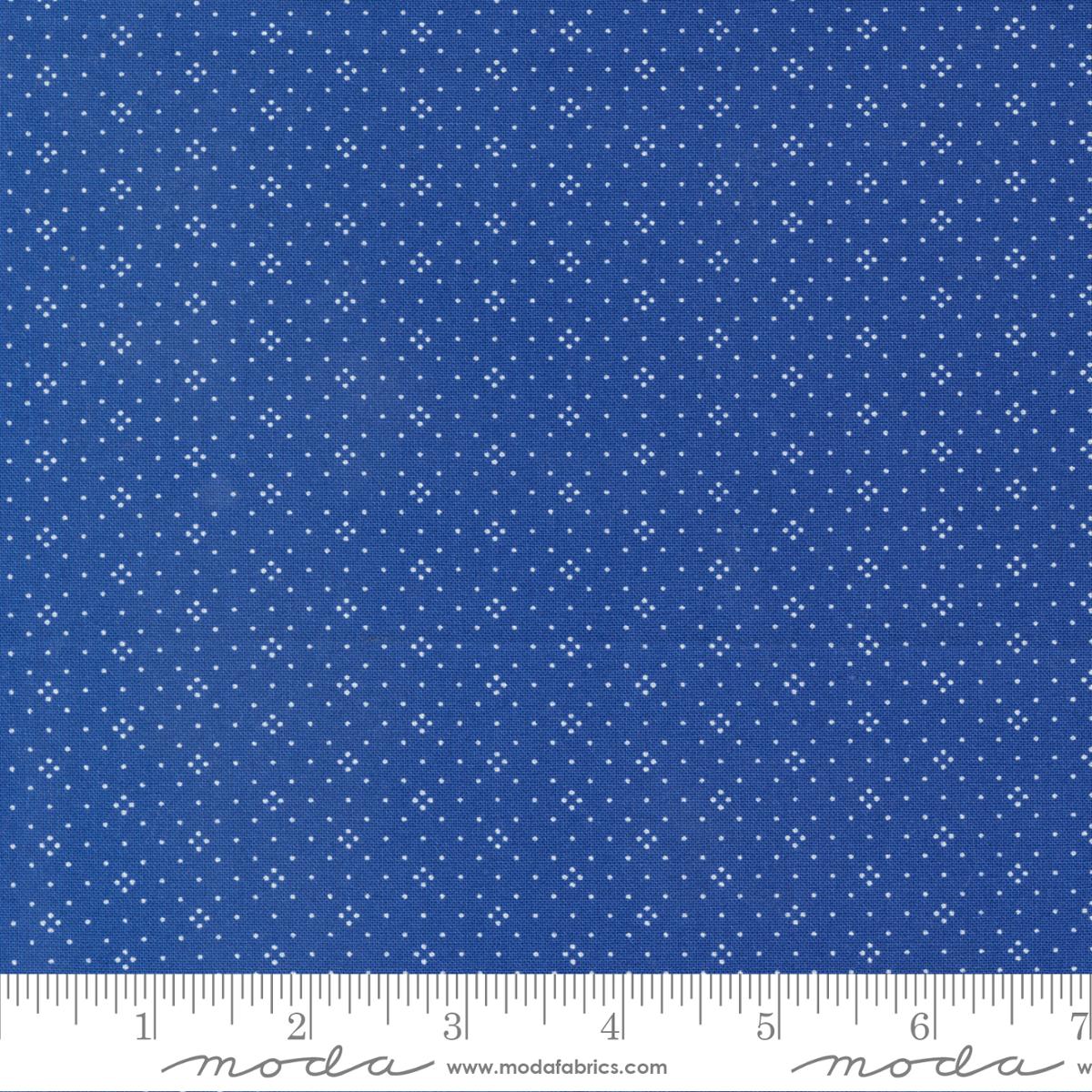 Eyelet Navy 20488-75