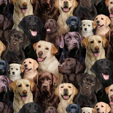 Labradors Best Friend 686E-MULTI
