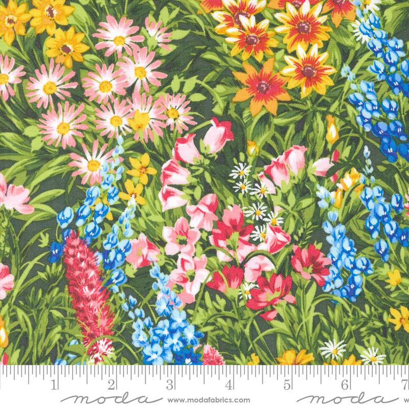 Wildflowers 2024 Meadow 33770-11