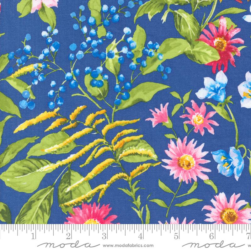 Wildflowers 2024 Bluebonnet 33771-13