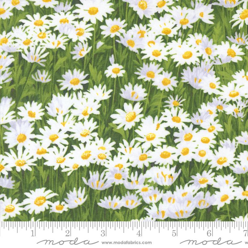 Wildflowers 2024 Cloud 33773-12