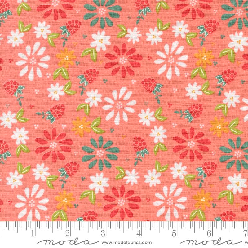 Raspberry Summer Carnation 37690-12