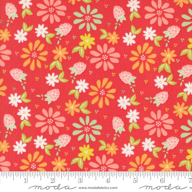 Raspberry Summer Raspberry 37690-13