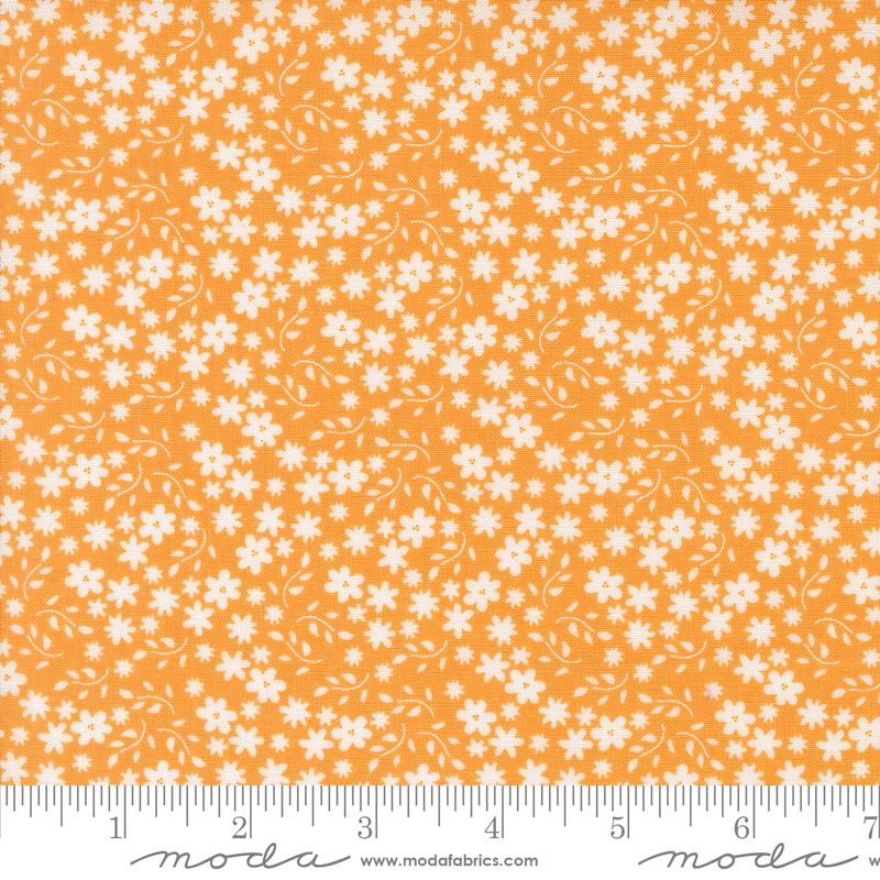 Raspberry Summer Apricot 37693-14