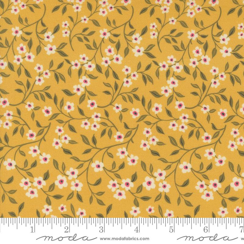 Sagewood Dogwood Sunshine 11953-13