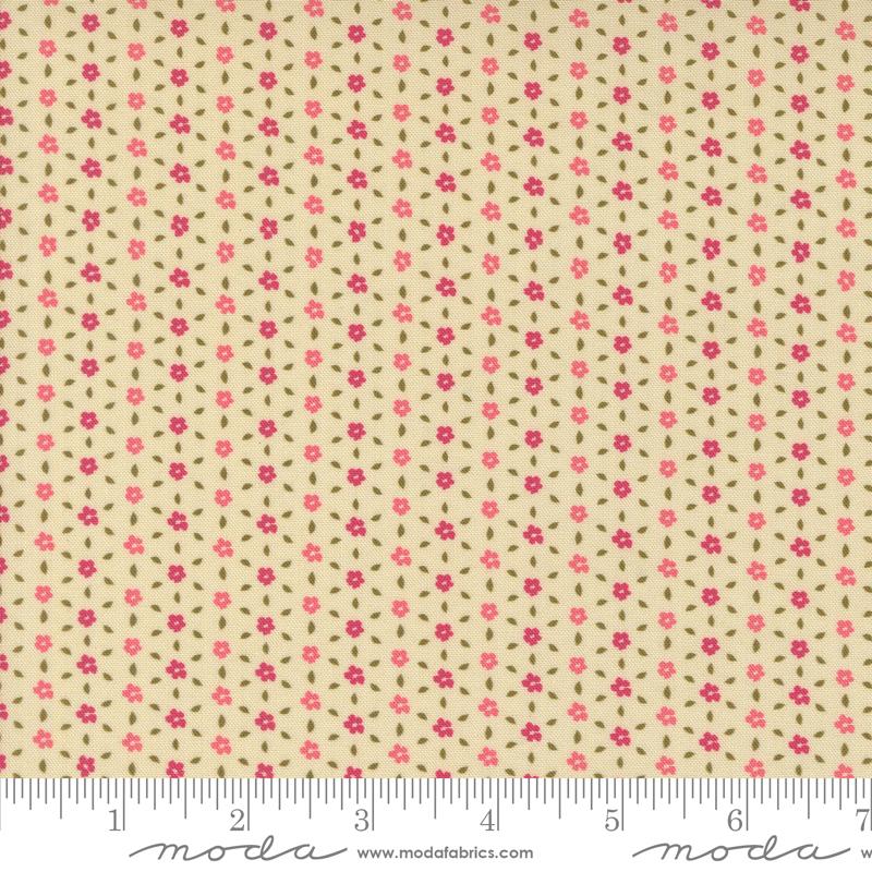 Sagewood Seedling Pearl 11956-11