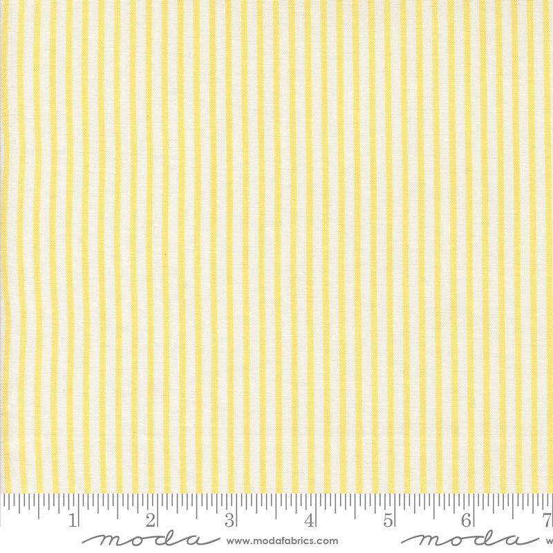 Summertime Sunshine 55324-26