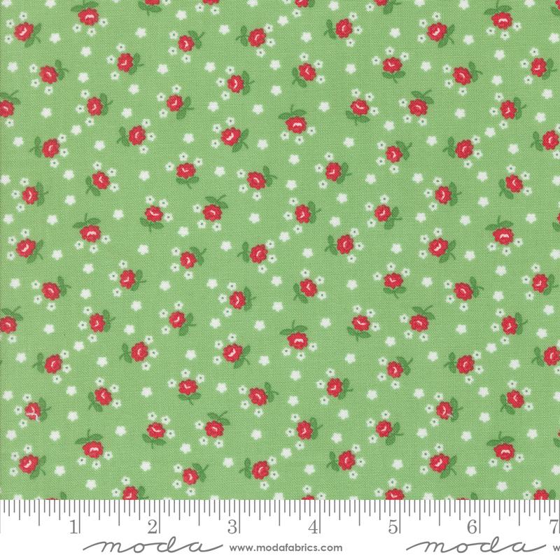 Summertime Green 55328-17