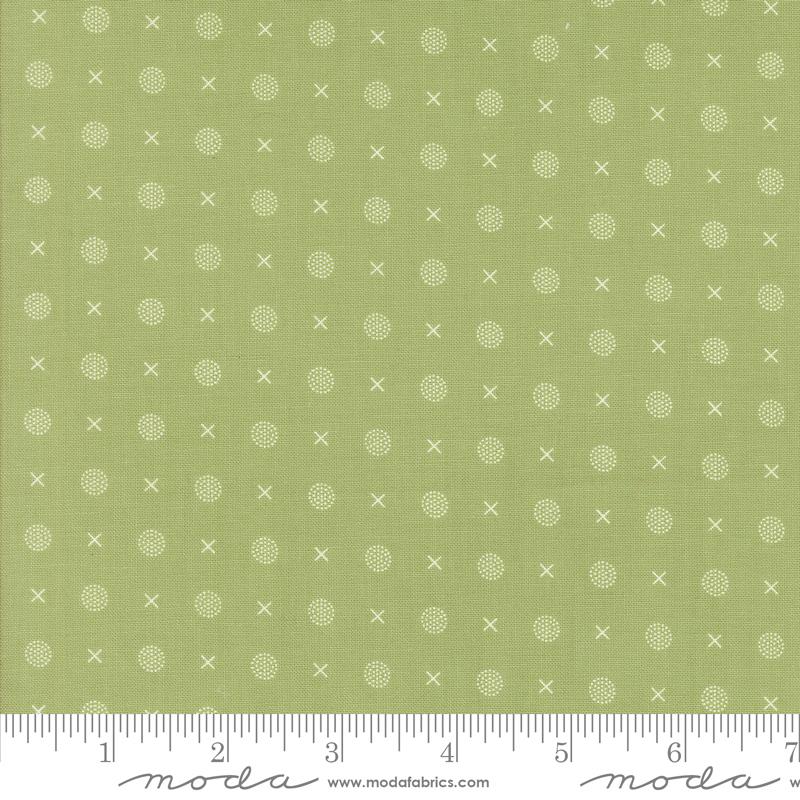 Abloom Cucumber 29215-27