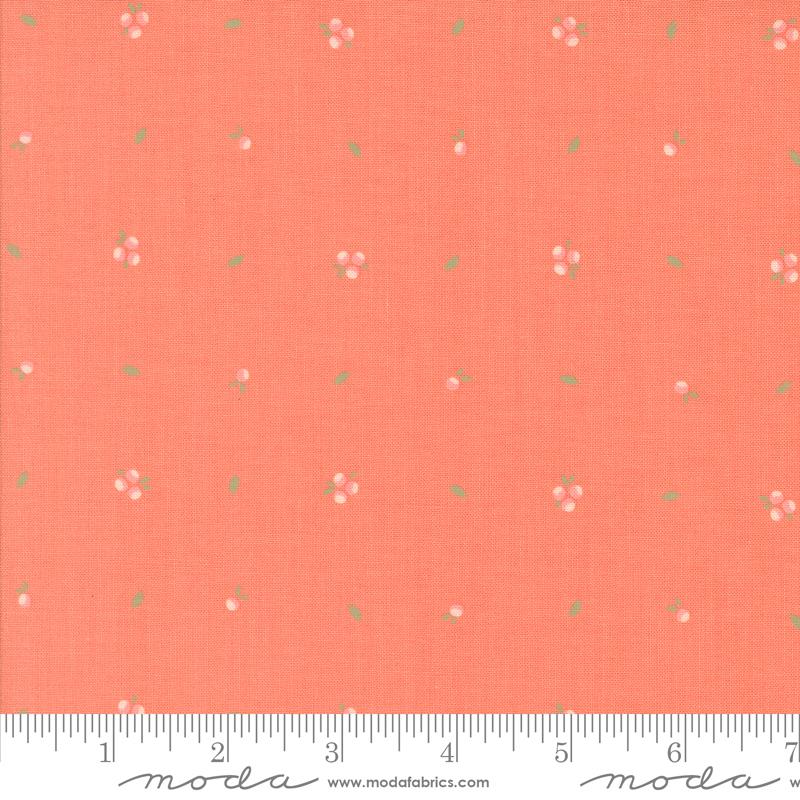 Abloom Coral 29216-12