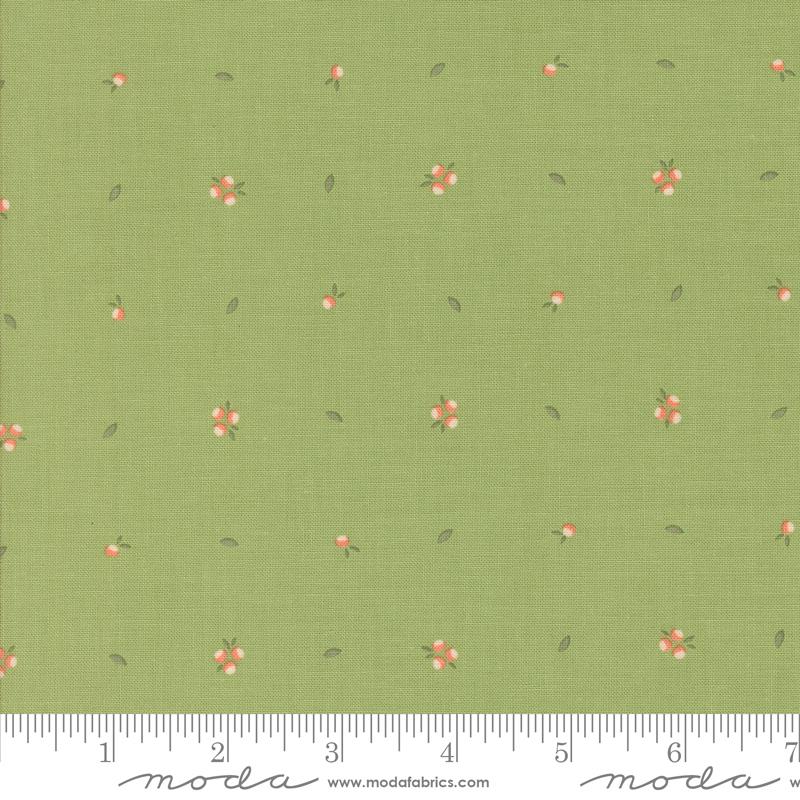 Abloom Cucumber 29216-17