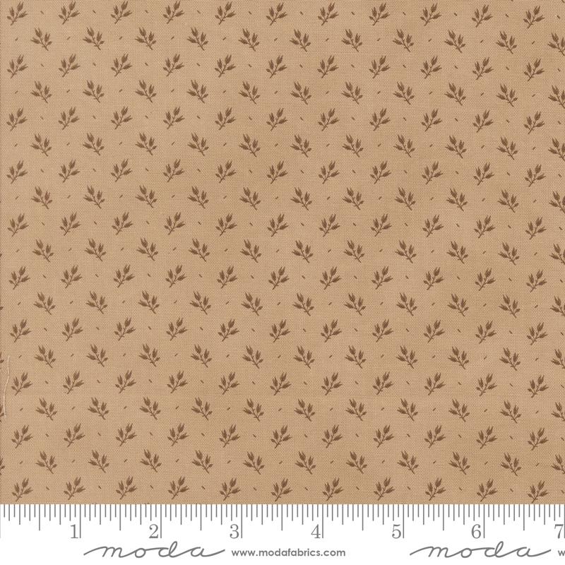 Pumpkin Spice Gatherings Khaki 49292-14