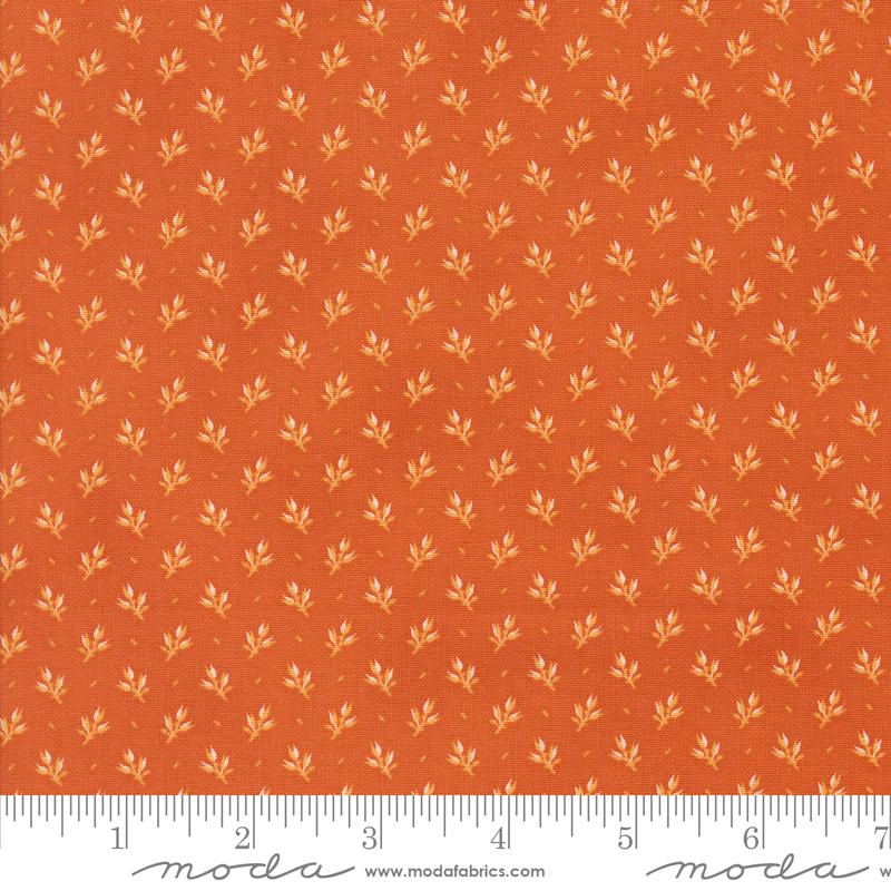 Pumpkin Spice Gatherings Trumpet Vine 49292-18