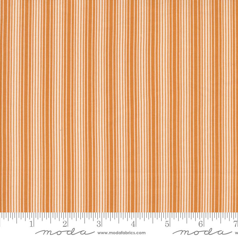 Pumpkin Spice Gatherings Pumpkin 49298-14