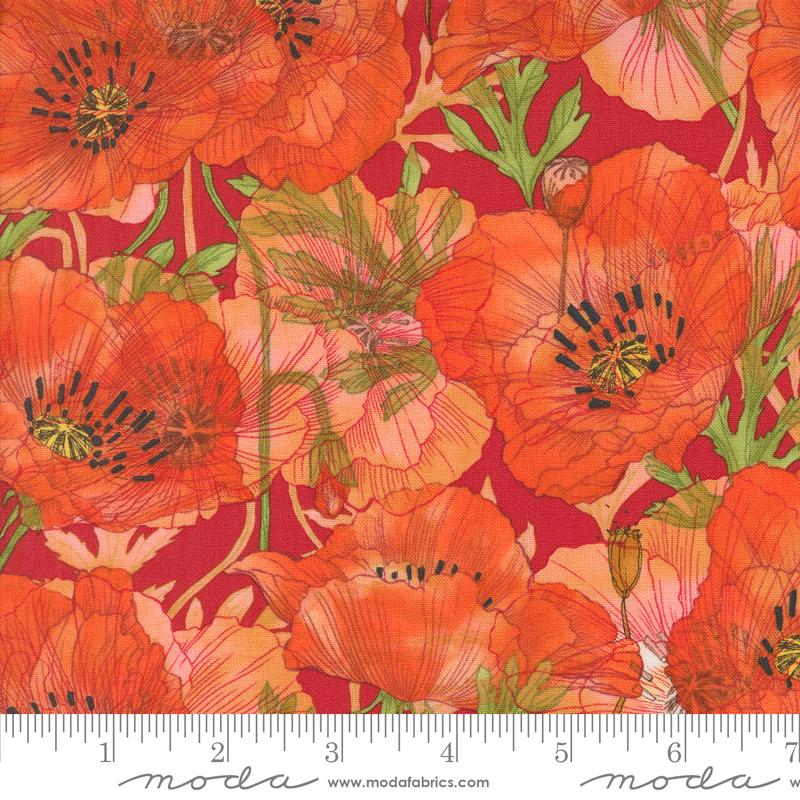 Superbloom Geranium 48781-23