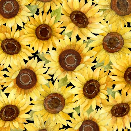 Sunflower Splendor Multi Packed Sunflowers 83326-952