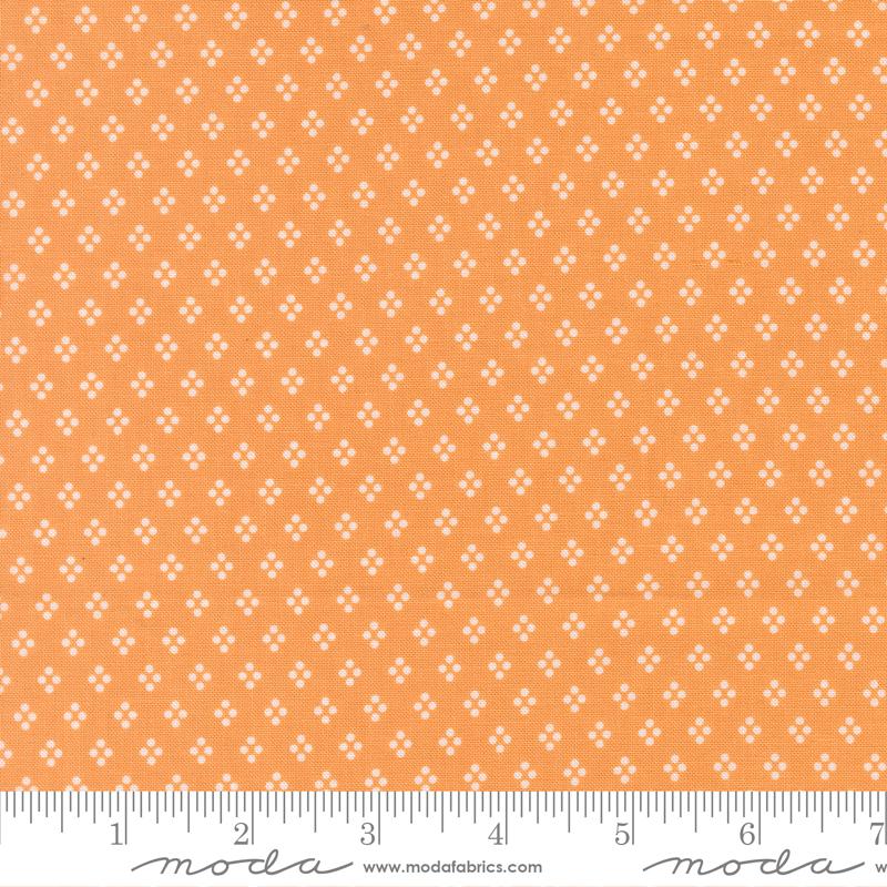 Delightfully Yours Apricot 37707-13