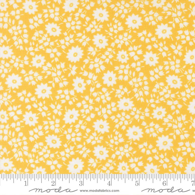 30s Playtime 2025 Sunshine 23372-15