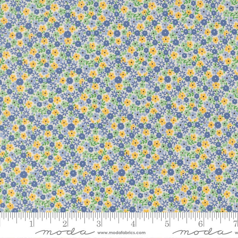 30s Playtime 2025 Aloe 23374-26