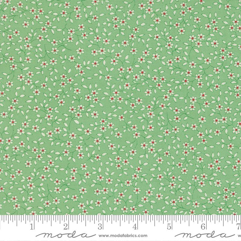 30s Playtime 2025 Aloe 23378-16