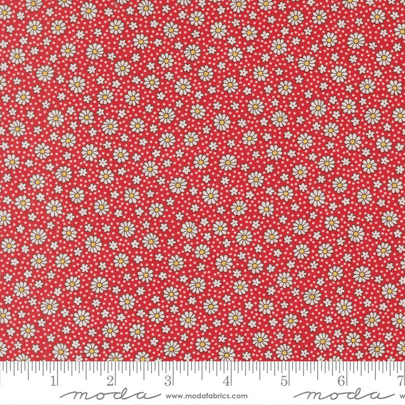 30s Playtime 2025 Scarlet 23379-14