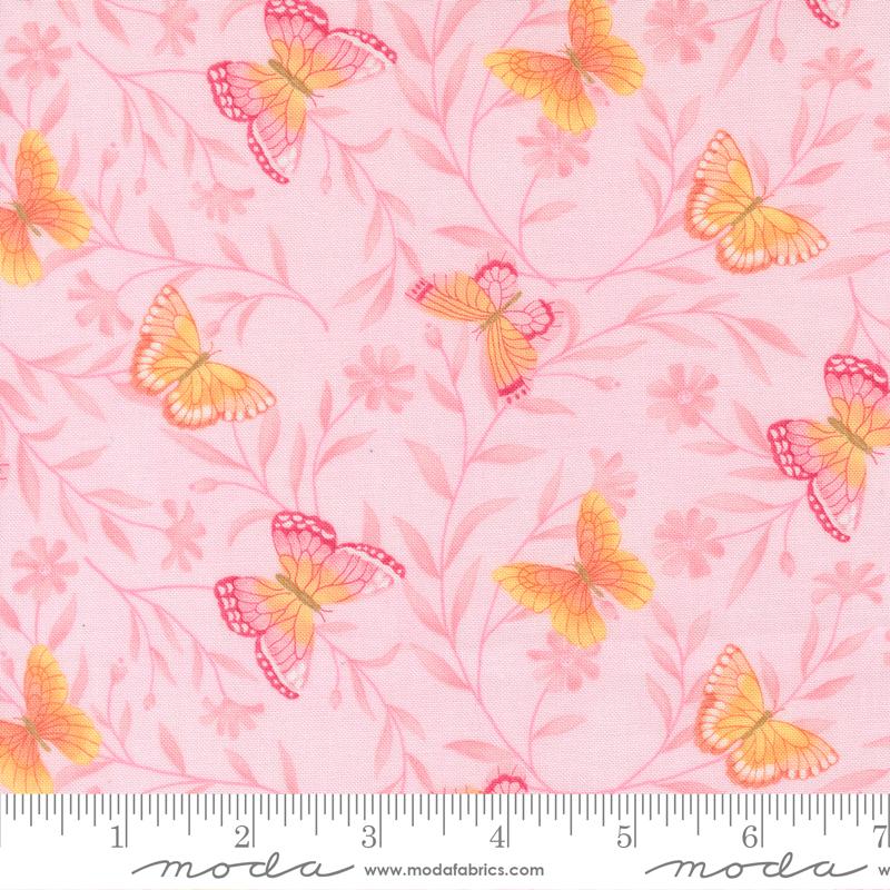 Kindness Blush 56151-15