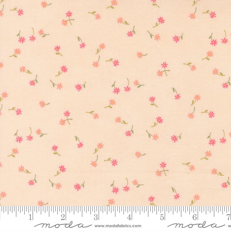 Kindness Peach 56154-12