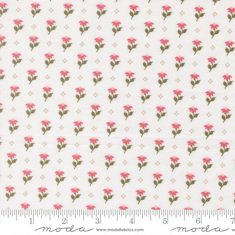 Wild Honey Daisy 5252-11