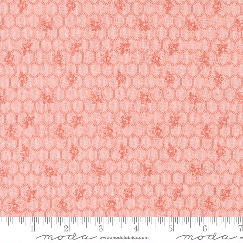 Wild Honey Carnation 5253-12