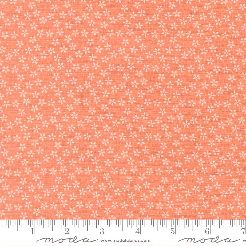 Pastel Prairie Coral 31783-33