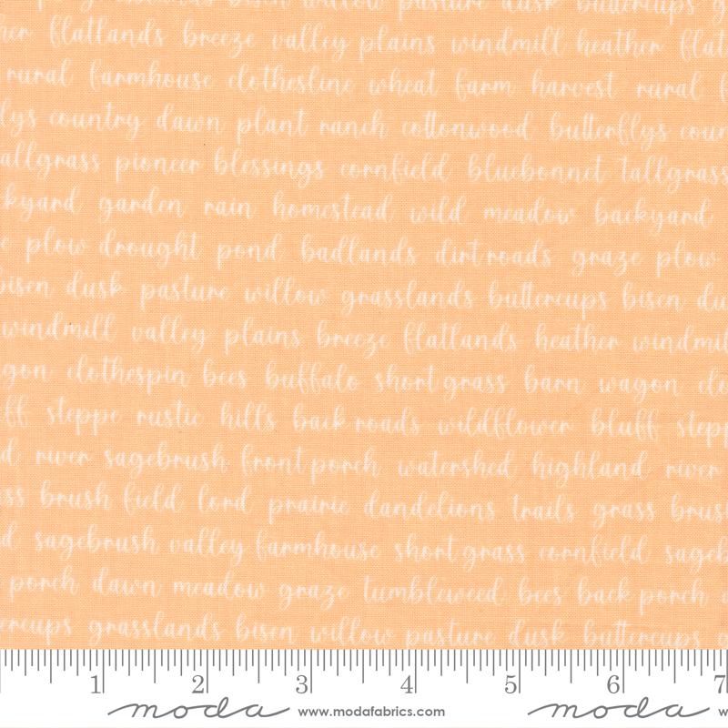Pastel Prairie Apricot 31784-19