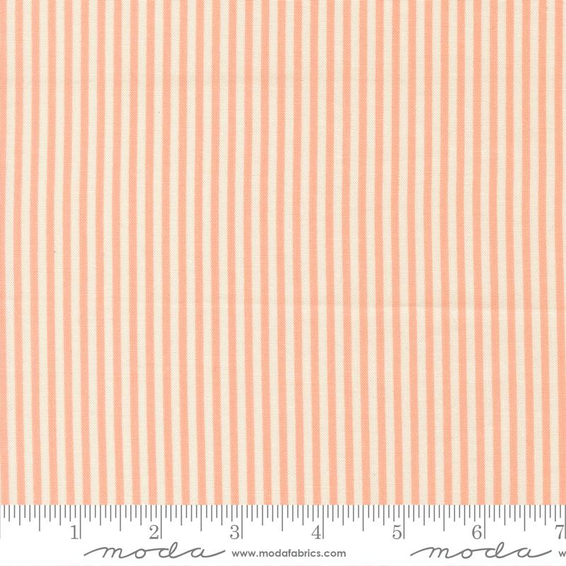 Pastel Prairie Jovial 31787-17