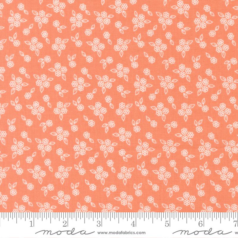 Pastel Prairie Coral 31788-33
