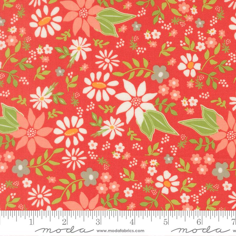 Poinsettia and Pear Geranium 37710-16