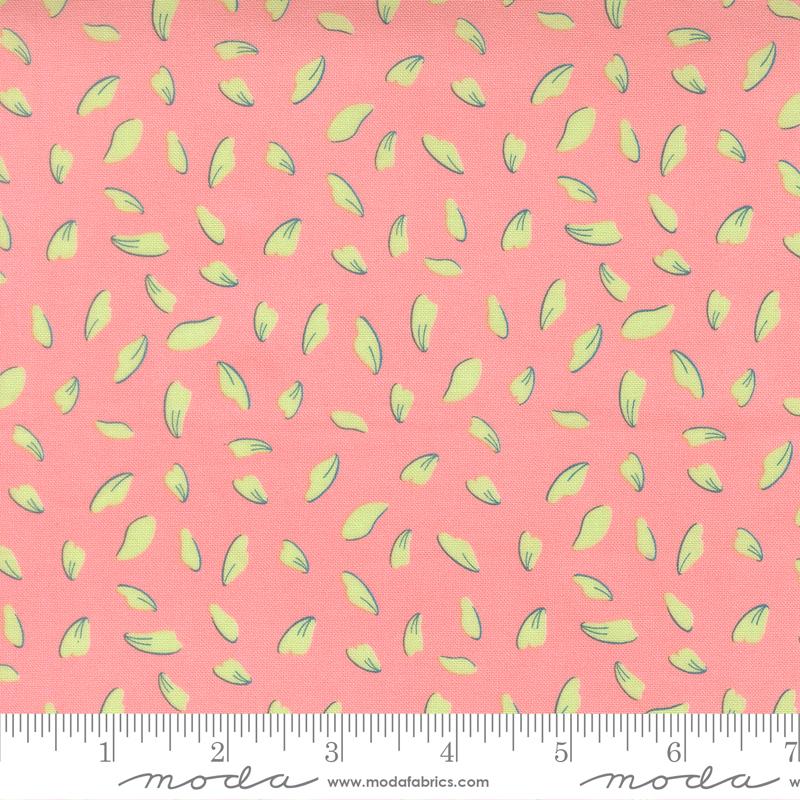 Honeyed Horizon Blush 47013-14