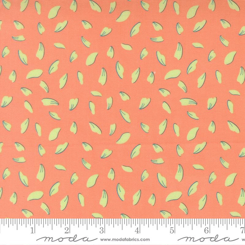 Honeyed Horizon Guava 47013-15