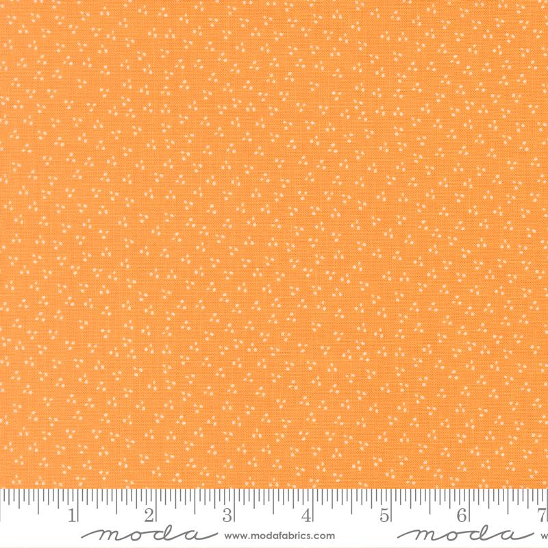 Birch and Willow 37728-13 Amber